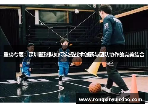 重磅专题：深圳篮球队如何实现战术创新与团队协作的完美结合